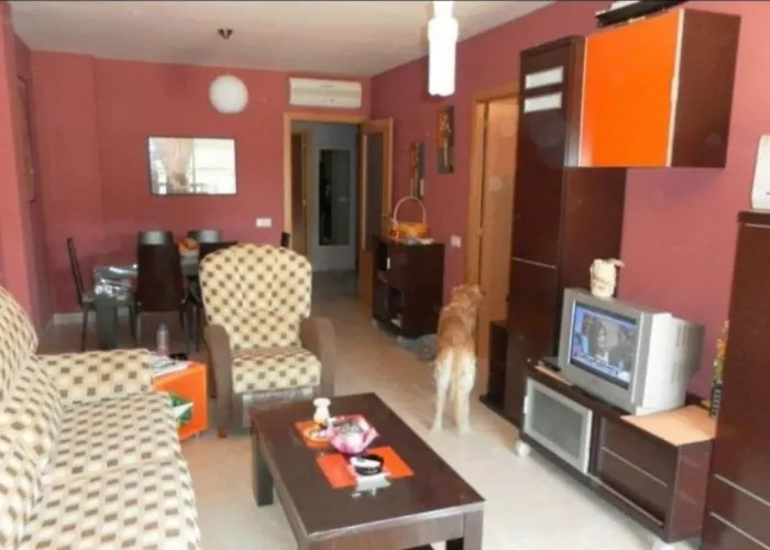 Apartamento Con Terraza Y Acceso Directo A La Piscina Y A 50 M De La Playa