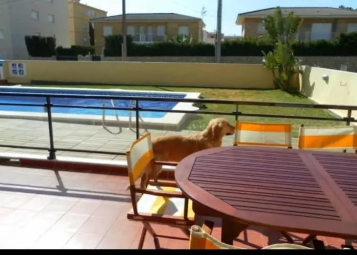 Apartamento Con Terraza Y Acceso Directo A La Piscina Y A 50 M De La Playa