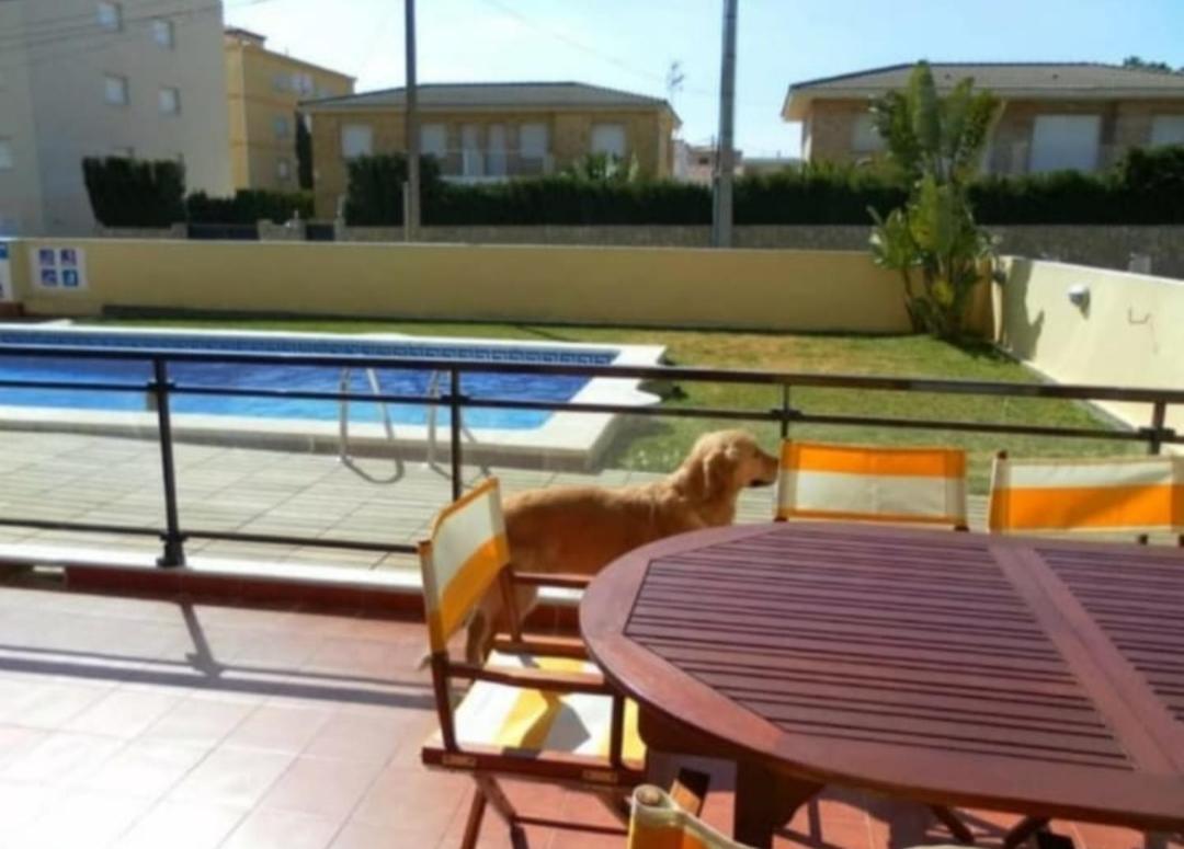 Con Terraza Y Acceso Directo A La Piscina Y A 50 M De La Playa Apartment Miami Playa