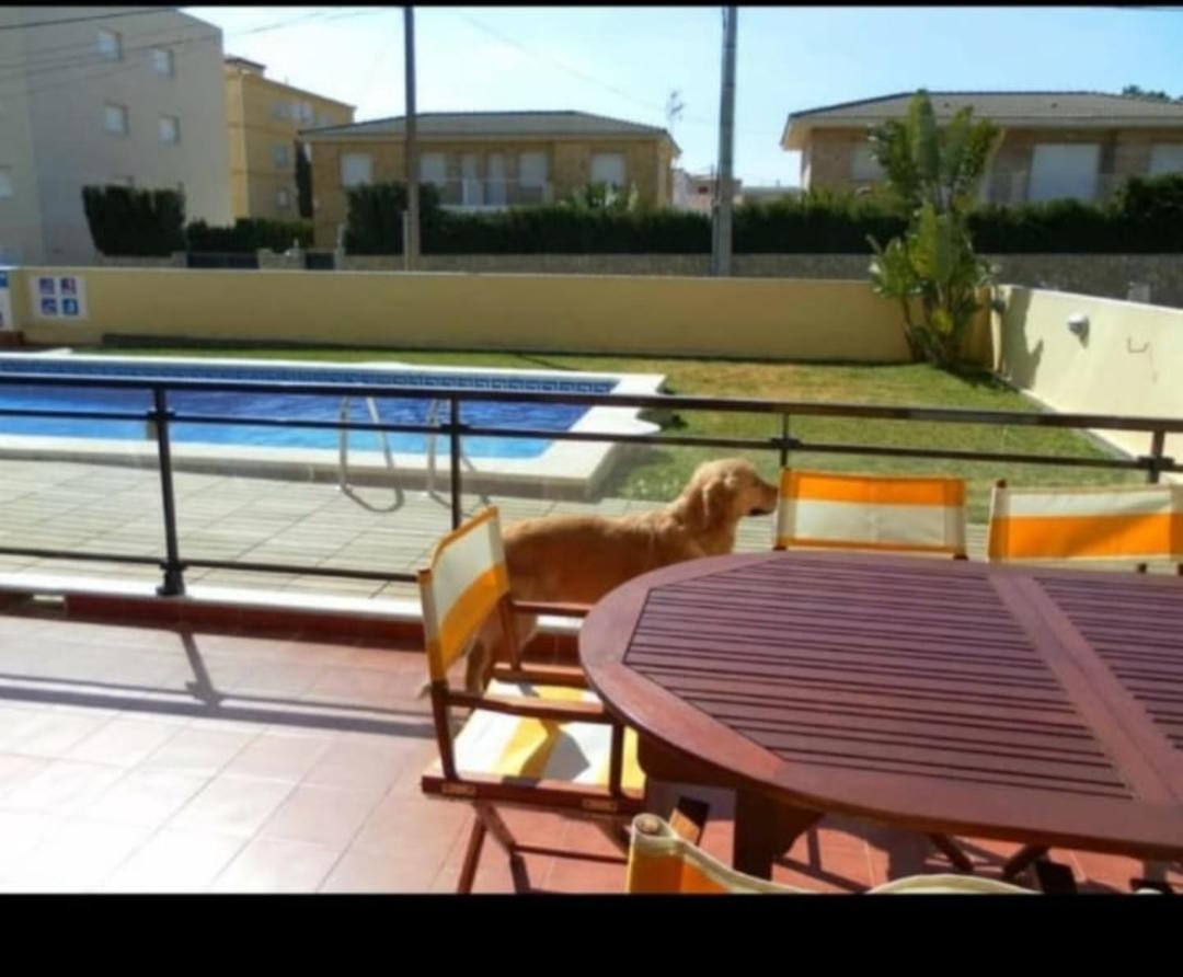 Apartment Con Terraza Y Acceso Directo A La Piscina Y A 50 M De La Playa Miami Playa